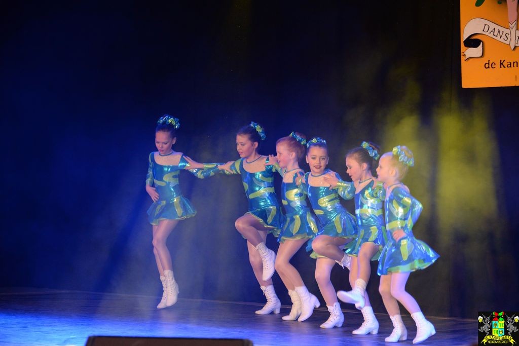 ../Images/Dansmarieke festival 2018 078.jpg